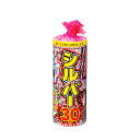 シルバー30秒 (長噴出30)