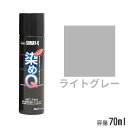 染めQ エアゾール ライトグレー 70ml