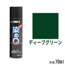 染めQ エアゾール ディーブグリーン 70ml