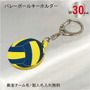 【vb-by30】バレー ボール キーホルダー 青黄 W30mm 名入れ アクセサリー 卒団記念