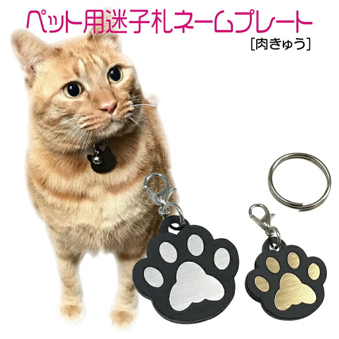 迷子札 プレート 電話番号 小型犬 猫 名前 アクリル製 シルバー ゴールド 肉きゅう