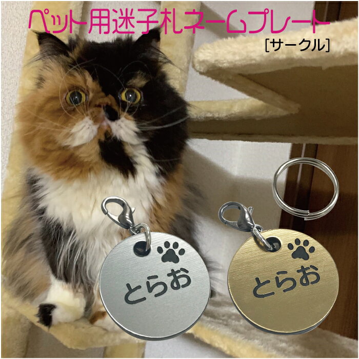 迷子札 プレート 電話番号 小型犬 猫 名前 アクリル製 シルバー ゴールド サークルのサムネイル