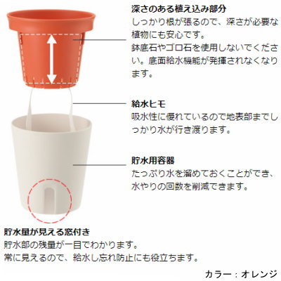 水やりで便利 植物が元気に育つ 底面給水ポットの仕組み 簡単な作り方も大公開 暮らし の