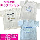 【送料無料】 サンリオ 半袖 Tシャツ 子供服 女の子 ドライ 吸汗速乾 キッズ KIDS キャラクター tシャツ 子供 子ども かわいい おしゃれ 女児 おんなのこ トップス カットソー 春 夏 100cm 110cm 120cm 130cm 140cm キティ マイメロディ クロミ シナモロール ポチャッコ