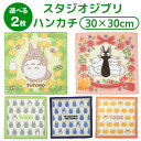 【選べる 2枚 1000円ポッキリ 送料無料】 トトロ ハンカチ 2枚 スタジオジブリ はんかち 綿100% 抗菌防臭加工 かわいい キャラクター ハンカチ ネコバス 中トトロ 魔女の宅急便 ジジ ハンカチーフ キッズ こども おとこのこ おんなのこ かわいい 通園 通学 入園 入学
