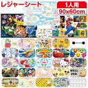 【送料無料】 キャラクター レジャーシート 1人用 60×90cm コンパクト レジャーマット 遠足 運動会 キッズ 子供 女の子 男の子 ポケモン トトロ ミッフィー サンリオ ディズニー すみっコぐらし マリオ ミニオン パウパトロール プリンセス クレヨンしんちゃん プレゼント