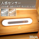 人感センサーナイトライト LEDセンサーライト USB充電式 30cm LED人感センサーライト 無段階調光 貼り付け 足元灯 夜間用 自動点灯 消灯 小型 軽量 センサーライト 補助照明 配線不要 簡単取付 停電対策 常点灯 マグネット式 工事不要 玄関 階段