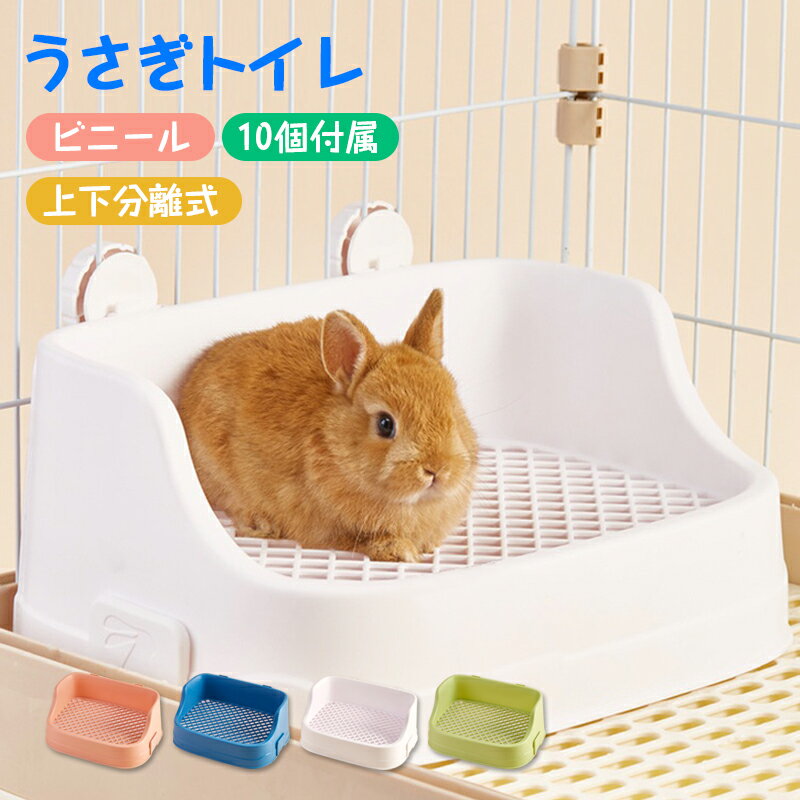 ȥ ѥȥ ͳѷ 岼ʬΥ ȥ  ݽñ ưʪȥ ӥåȥȥ ץ饹å ڥåȥȥ  ݽ䤹 ñʥ󥹥ȡ