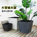 プランター 大型 中型 おしゃれ 新型プラスチック製 受け皿付き 排水穴付き 植木鉢 軽量 屋内用 屋外用 深型プランター 観葉植物 鉢 植木鉢 ガーデニング用...