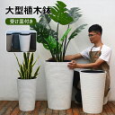プランター 大型 植木鉢 プランターボックス 軽量 深型 大型プランター 新型プラスチック製 受け皿付き 排水穴付き おしゃれ 置物用 飾り用 ガーデニング用 ...