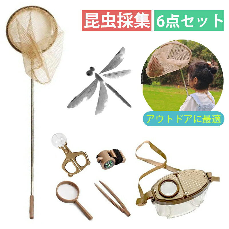昆虫採集セット 自然観察 知育玩具 学習玩具 虫取り 拡大鏡付き 虫取り網 昆虫ネット 伸縮式 ツール コンパクト 水陸両用網 軽量 子供 キッズ用 夏休み 川遊び アウトドア 昆虫観察6点セットのサムネイル