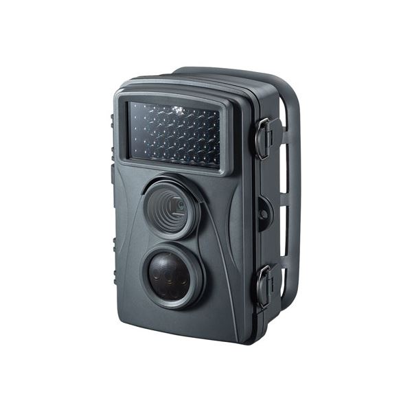 サンワサプライ セキュリティカメラ CMS-SC01GY (メーカー直送)