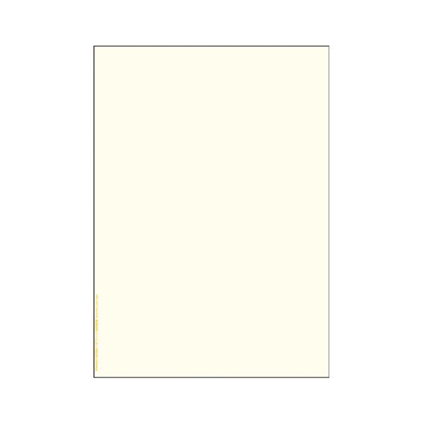 ヒサゴ マルチプリンタ帳票複写A4クリーム 100枚入 (メーカー直送)