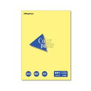 (まとめ) 長門屋商店 Color Paper A4最厚口 クリーム ナ-3503 1冊(25枚) 【×30セット】 (メーカー直送)(2)