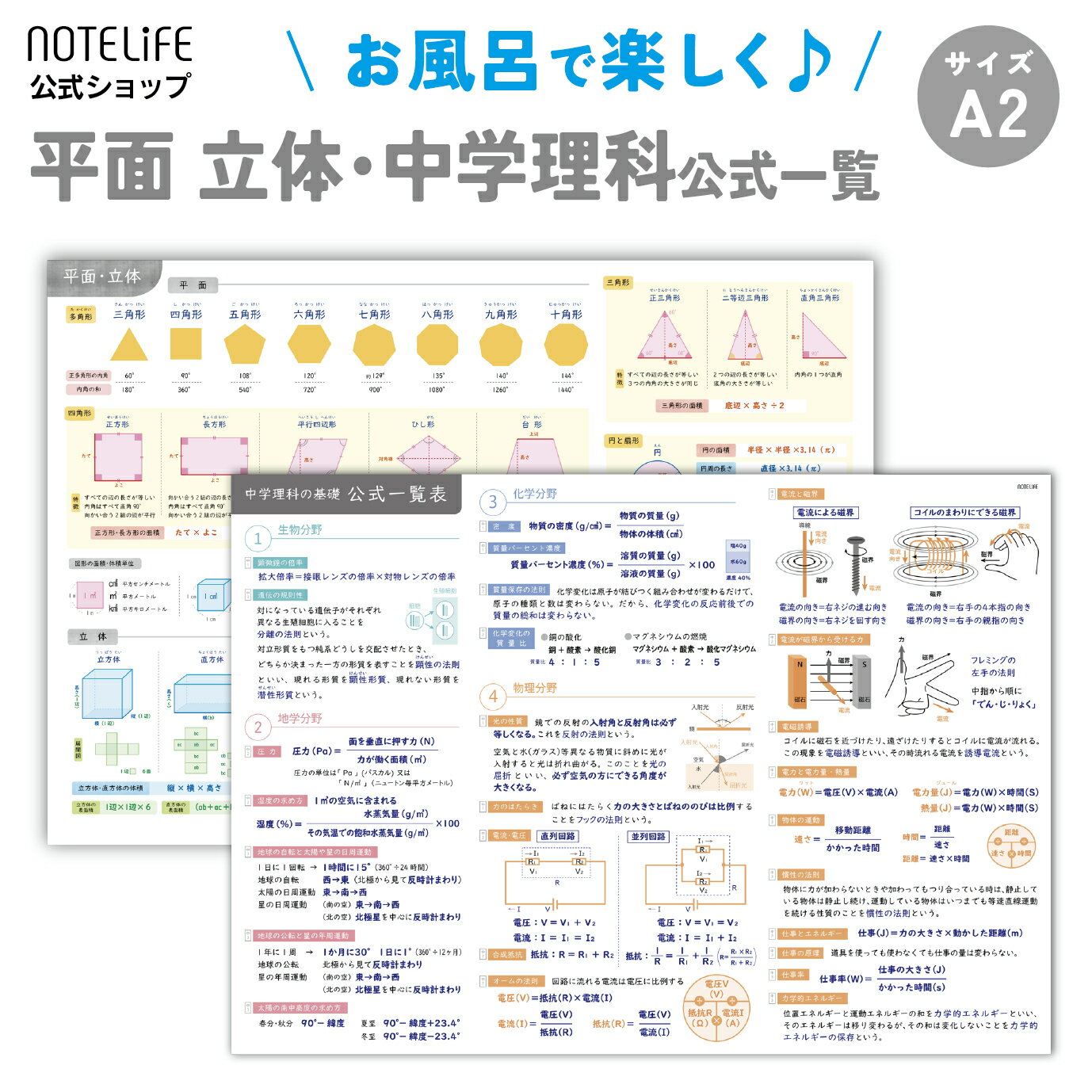 Ϥݥ ؽݥ A2 (6042cm) 䤹Ƥ狼䤹  ɿ Ρȥ饤 (ʡءʿ̡ΩΡ˥å)