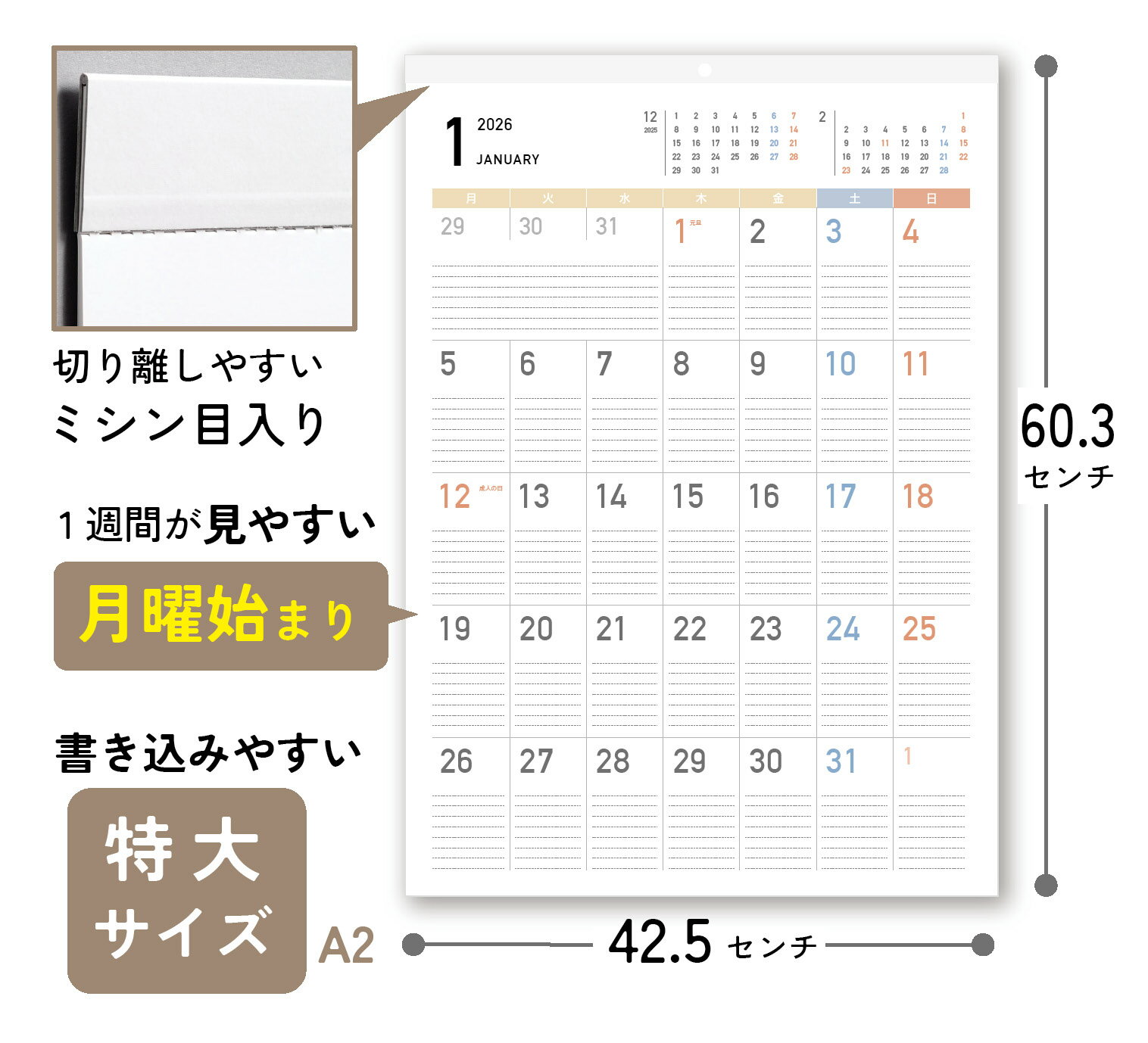 シンプル カレンダー 2026 壁掛け A2 大判（約60×42cm）くすみカラー 書き込み｜月曜始まり・日曜始まり 選べる｜ノートライフ