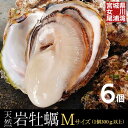 【新物】天然岩牡蠣 Mサイズ6個 三陸 宮城 女川産特大 ...