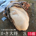 殻付き牡蠣2L10