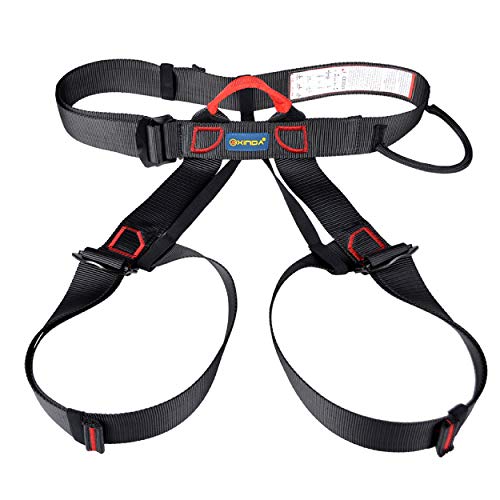  ロッククライミングハーネス 安全ハーネス 登山ハーネス アウトドア シットハーネス 安全ベルト Climbing Harnesses (ブラック)