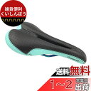 VELO(ベロ) RACER SADDLE LIMITED OIL SLICK RAIL BLACK/CELESTE SL-OTR-M006(4)