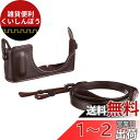 パナソニック ボディケース&ストラップキット DMW-BCSK4-T