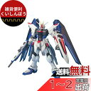 MG 1/100 ZGMF-X10A フリーダムガンダム (機動戦士ガンダムSEED)