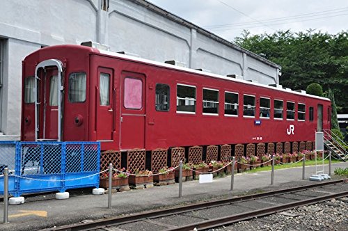 KATO Nゲージ 50系 客車 基本 5両セット 10-1276 鉄道模型 客車 3