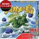 メビウスゲームズ ウミガメの島 (Mahe) カードゲーム
