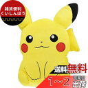 ポケットモンスター ぬいぐるみ雑貨シリーズ もちふわクッション ピカチュウ 高さ30cm