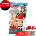 セガ 初音ミク Project DIVA Arcade Future Tone スーパープレミアムフィギュア“初音ミク クリスマス”(プライズ)(3)