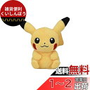 ポケモンセンターオリジナル ぬいぐるみ Pok?mon fit ピカチュウ 12×12×8(H×W×D:cm)