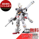 HGUC 機動戦士クロスボーン・ガンダム 1/144スケール 色分け済みプラモデル