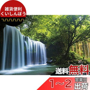 1000ピース ジグソーパズル 癒しの水簾(熊本県鍋ヶ滝) (50x75cm)