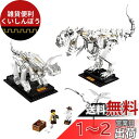 レゴ(LEGO) アイデア 恐竜の化石 21320
