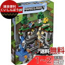 レゴ(LEGO) マインクラフト 最初の冒険 21169 おもちゃ テレビゲーム 男の子 女の子 8歳以上