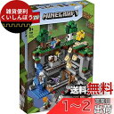 楽天雑貨便利くいしんぼうレゴ（LEGO） マインクラフト 最初の冒険 21169 おもちゃ テレビゲーム 男の子 女の子 8歳以上