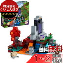 レゴ(LEGO) マインクラフト 荒廃したポータル クリスマスギフト クリスマス 21172 おもちゃ ブロック プレゼント テレビゲーム 男の子 女の子 8歳...