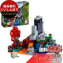 楽天雑貨便利くいしんぼうレゴ（LEGO） マインクラフト 荒廃したポータル クリスマスギフト クリスマス 21172 おもちゃ ブロック プレゼント テレビゲーム 男の子 女の子 8歳以上