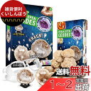 XXTOYS クリスタルジオード 水晶ジオード クリスマス プレゼント クラッキング 自分で割る 鉱石発掘 晶洞 geode 天然石 10個セット(3)