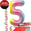 Ealimun 数字バルーン レインボー 約80cm 誕生日 風船 大きい バルーン飾り付けセット HAPPY BIRTHDAY (数字_レインボー5)