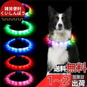Sazuik 犬 光る首輪 12つ発光モード 多色発光 ペット LED首輪 USB充電式 サイズ調整可能 装着簡単 柔らかい 犬 猫 夜散歩ライト 軽量 安全対策 視認性 小型・中型・ 大型犬 (ホワイト)