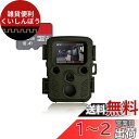 ハンファQセルズジャパン 【国内メーカー品】 Full HD 防犯カメラ トレイルカメラ 小型 屋外 防水 防塵 IP66対応 1080p対応 モーションのみ 赤外線LED 監視カメラ 動体検知 人感センサー 夜間対応 電池式 自動上書き録画 日本語説明書 国内メーカー品 迷彩 カモフラージ(3)
