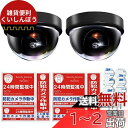 Co-Goods ダミーカメラ (2個) 防犯ステッカー 防水/耐光(内貼1式、普通1式) 防犯カメラ ダミー 監視カメラ 防犯シール (on/off機能有 黒...
