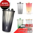 TYESO タンブラー ストロー付き ステンレス 広口 真空断熱 ホームオフィス アウトドア 多色 保温 保冷 ふた付き 600ml 大容量 女の子 男の子