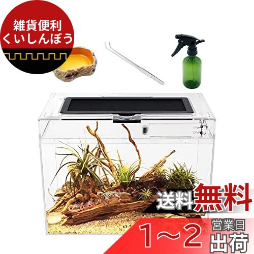 Reptile Growth 爬虫類 ケージ 透明 爬虫類ケージ 飼育容器 小動物用 カメ亀 タンク 両生類用飼育ケース 飼育ボックス 31*19*24cm, カメ、クモ、カエル、ゲッコ、カマキリ、ヘビ、サソリ、庵クラブ