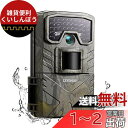 CEYOMUR トレイルカメラ 3000万画素 Full HD 防犯カメラ IP66 防水 防塵 赤外線LED 監視カメラ 1080p モーションのみ 動体検知...