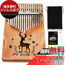 PERDIN カリンバ 17キー 初心者セット チューニング済み 入門書つき 日本語 楽譜つき 初心者 kalimba マホガニー 刻印あり 楽器 (ブラウン)