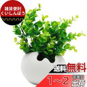 TOSSOW 植木鉢 陶器鉢 卵形 多肉植物、サボテン鉢 ハーブ プランター容器 おしゃれ プレゼント ミニ ホワイト