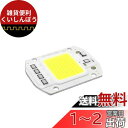 LEDGLE 50W LEDチップ バルブライトランプDIY スポットライト ハイパワー AC 110V 6500K 90LM/W 昼白色 1個セット