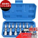 Gunpla トルクスネジ用ビットセット 13pcs ビットソケットセット T8-T70